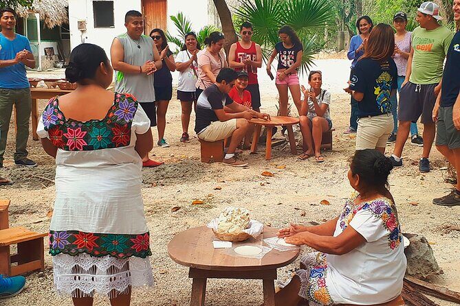 Tulum, Cenote, Coba Ruins & Fifth Avenue! Transportation from Playa Del Carmen - Transportation, Logistics, and Overall Value