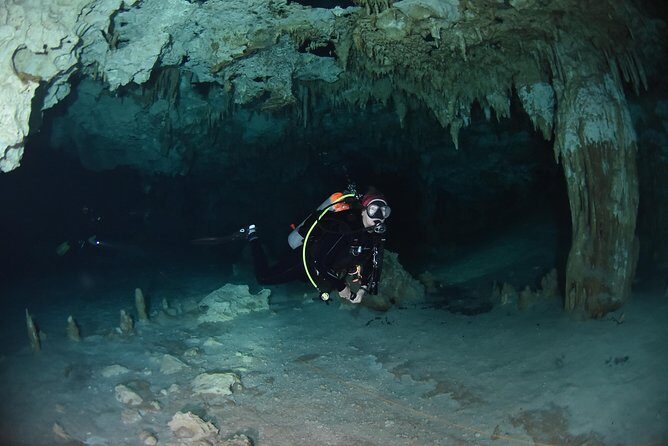 Tulum cenote diving. The ultimate experience in scuba - What You Can Expect from the Tour