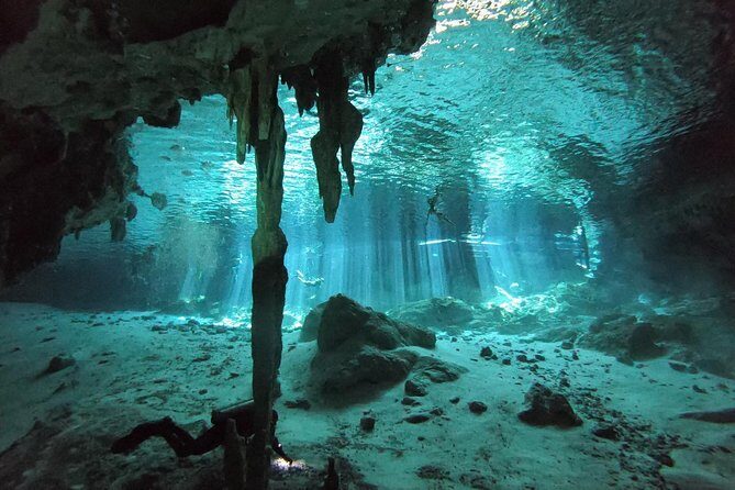 Tulum cenote diving. The ultimate experience in scuba - The Sum Up: Who Will Love This Tour?