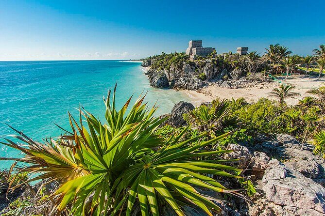 TULUM, CENOTE, MYSTIKA MUSEUM, TURTLES SNORKELING (Private) - Final Word