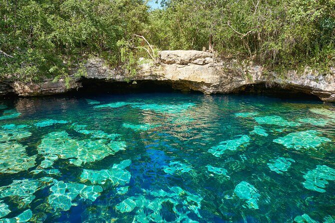 Tulum & Cenote - Private Express Tour - The Sum Up: Who is This Tour Best For?