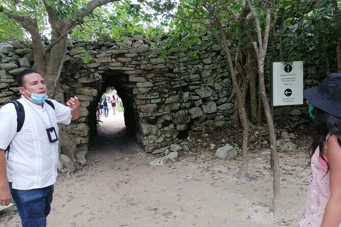 Tulum, Coba, Cenotes and 5th Av Playa del carmen Tour - Practical Details and Value