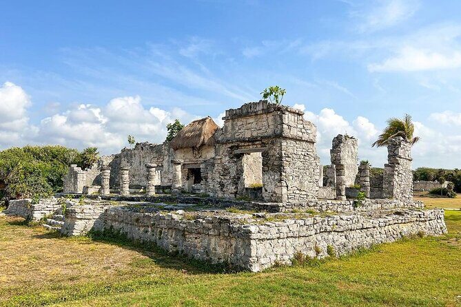 Tulum, Coba ruins and The Cenote 6 hours Private Tour - Final Thoughts