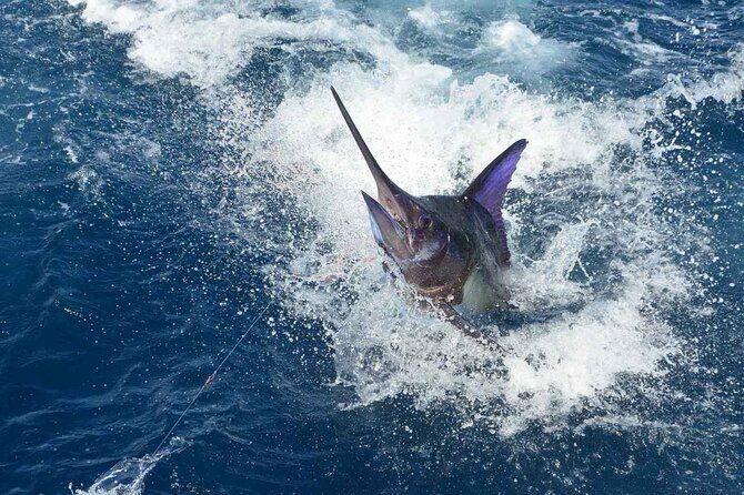 Tulum Deep Sea Fishing Tour - The Sum Up