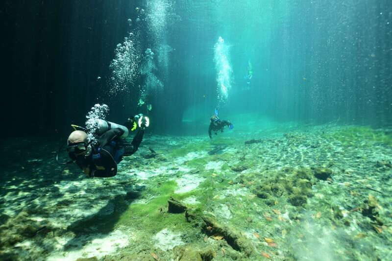Tulum: Discover Scuba Diving in Cenotes - An Introduction to the Experience