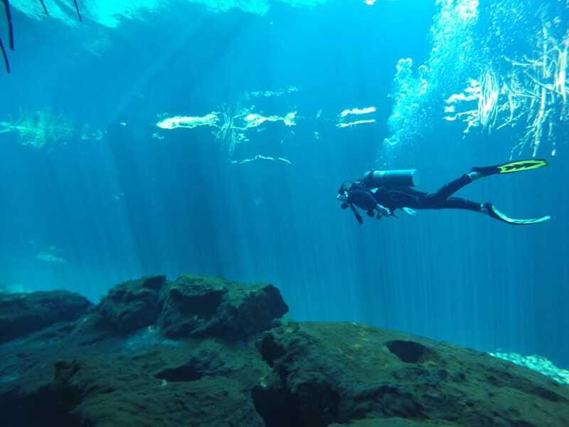 Tulum: Discover Scuba Diving in Cenotes - The Setting: Why Cenotes Are Special