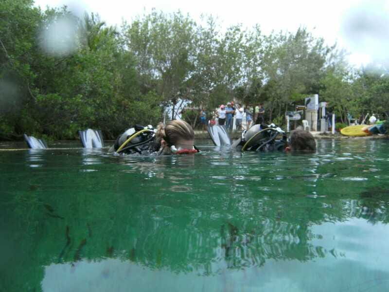 Tulum: Discover Scuba Diving in Cenotes - Frequently Asked Questions