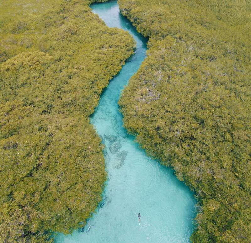 Tulum: Discover Scuba Diving in Cenotes - Final Thoughts: Who Will Love This Tour?