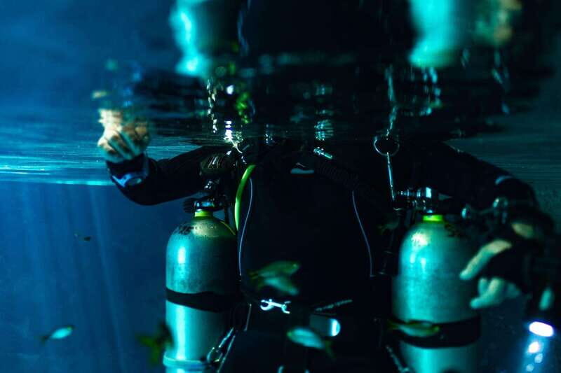 Tulum: Discover the Depths of Dos Ojos Cenote - What Makes Cenote Dos Ojos Special?