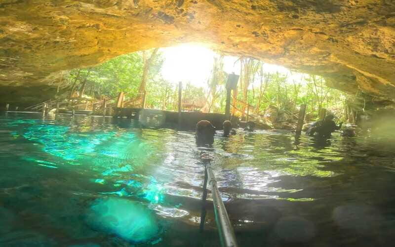 Tulum: Dos Ojos Cenote 2 Scuba Dives with Transfer Option - Who Should Consider This Tour?