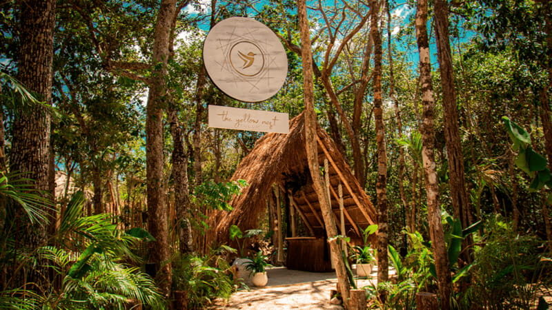 Tulum: Floating Breakfast in The Yellow Nest (Day Pass) - Key Points