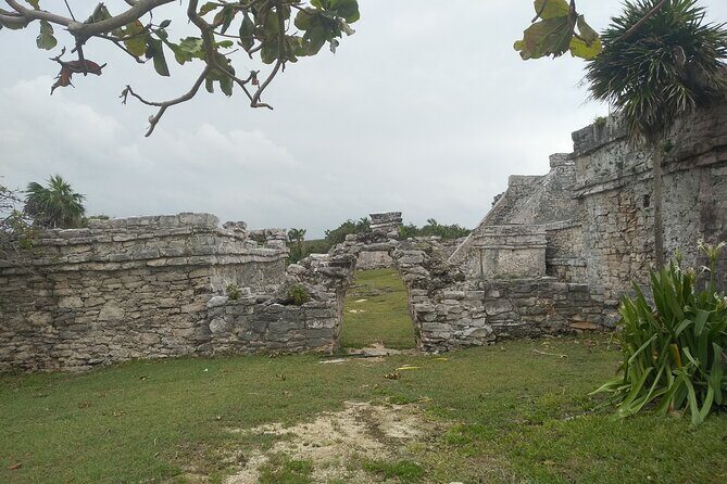 Tulum Guided Tour and Cenote Swim from Playa del Carmen - Who Will Love This Tour?
