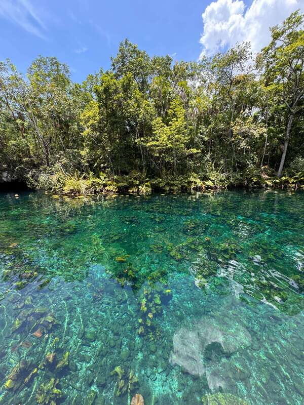 Tulum: Guided Tour of Mayan Ruins and Coral Reef Swim - FAQ