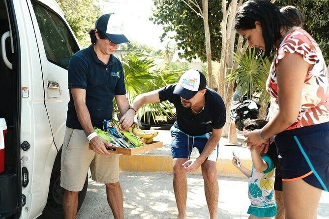 Tulum Half Day Plus Jaguar Park and Playa Paraíso Tour - What’s Included and What’s Not