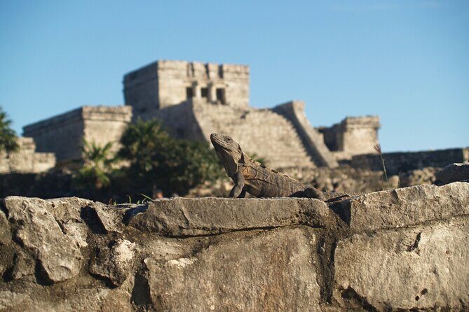 Tulum Highlights Early Easy and Crowd Free - A Thoughtful Guide to the Tulum Highlights Tour