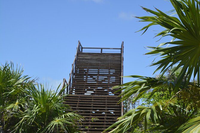 TULUM Jaguar Park Day Pass - An In-Depth Look at the TULUM Jaguar Park Day Pass