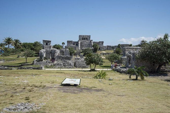 Tulum & Jungle Adventure Private Tour - Final Thoughts