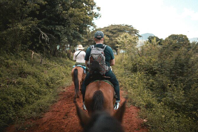 Tulum Jungle Horseback Ride + ATV + Ziplines + Cenote Combo Tour - The Sum Up: Is This Tour Worth It?