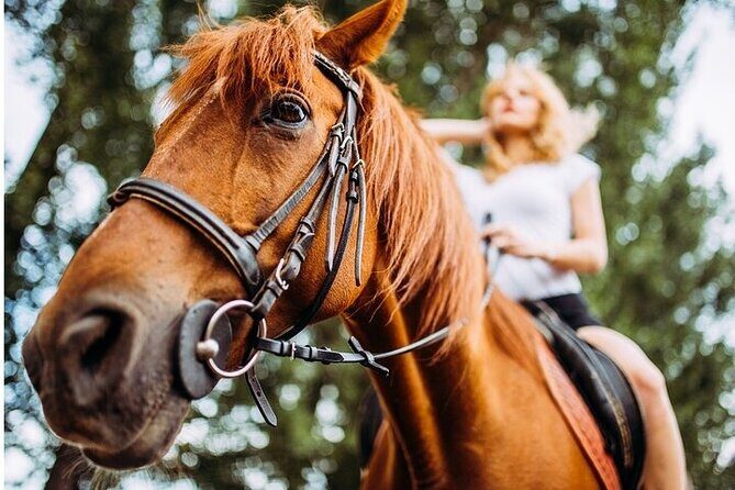 Tulum Jungle Horseback Ride + Cenote Dip & Traditional Lunch - FAQ