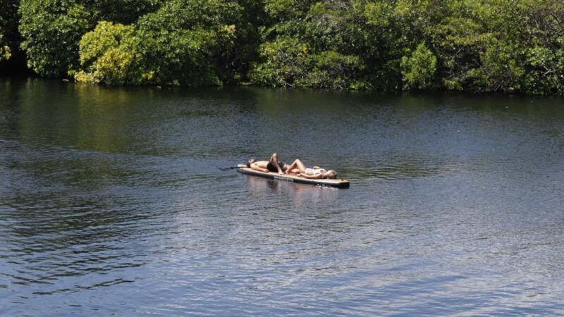 Tulum: Pargo Restaurant Cenote Dining Experience - Key Points