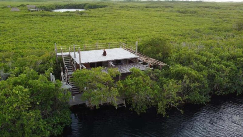 Tulum: Pargo Restaurant Cenote Dining Experience - A Closer Look at the Experience