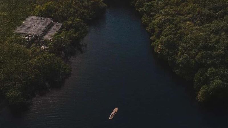 Tulum: Pargo Restaurant Cenote Dining Experience - The Itinerary in Detail