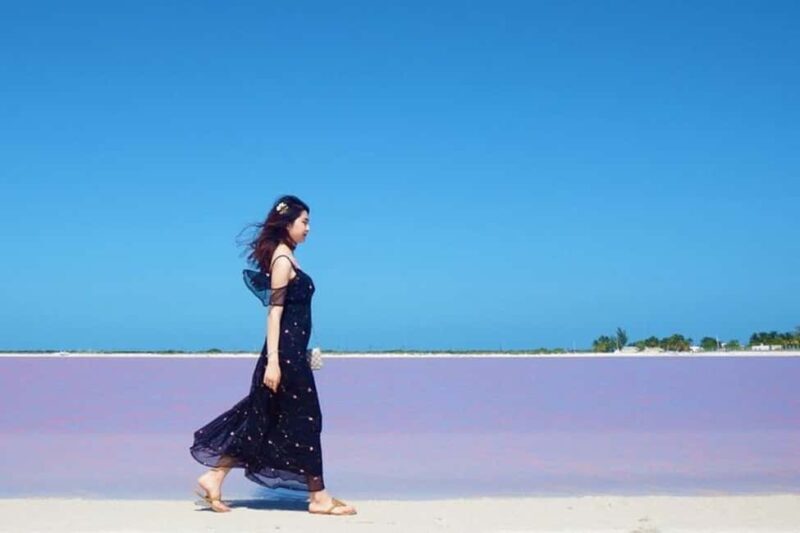 Tulum: Pink Lake, Rio Lagartos, Crocodile Flamingo Adventure - What to Expect from This Tour