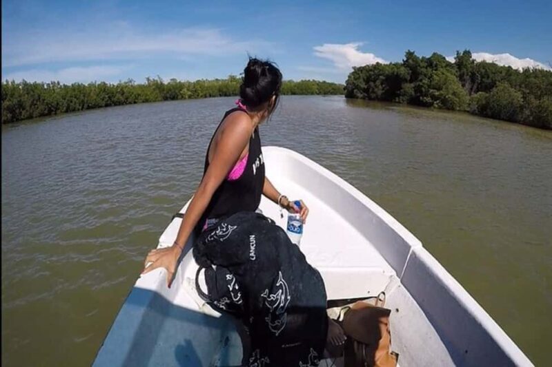 Tulum: Pink Lake, Rio Lagartos, Crocodile Flamingo Adventure - Who Is This Tour Best For?