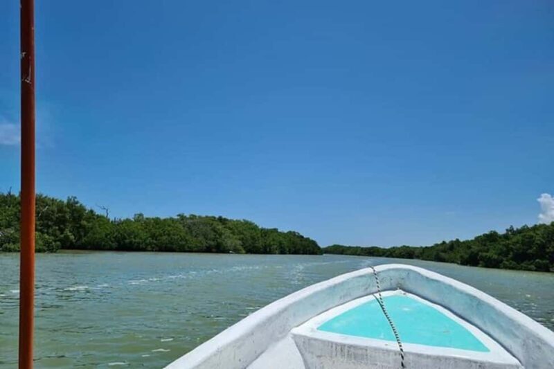 Tulum: Pink Lake, Rio Lagartos, Crocodile Flamingo Adventure - FAQ