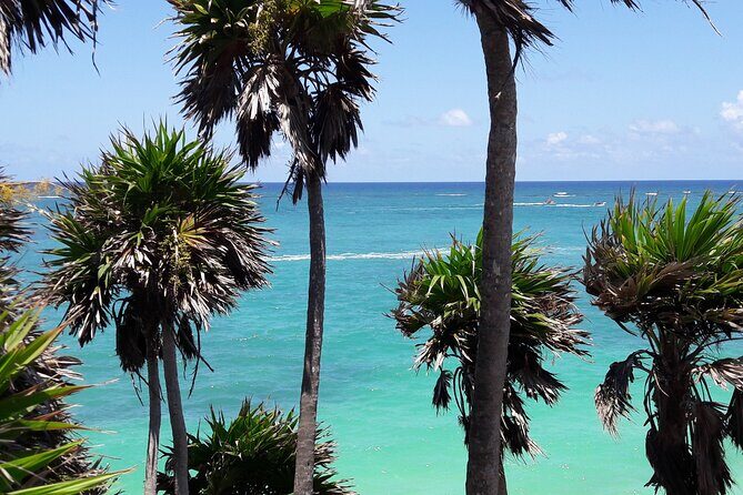 Tulum Private Boat Tour & Turtle Snorkeling Experience - The Sum Up: Is This Tour Right for You?