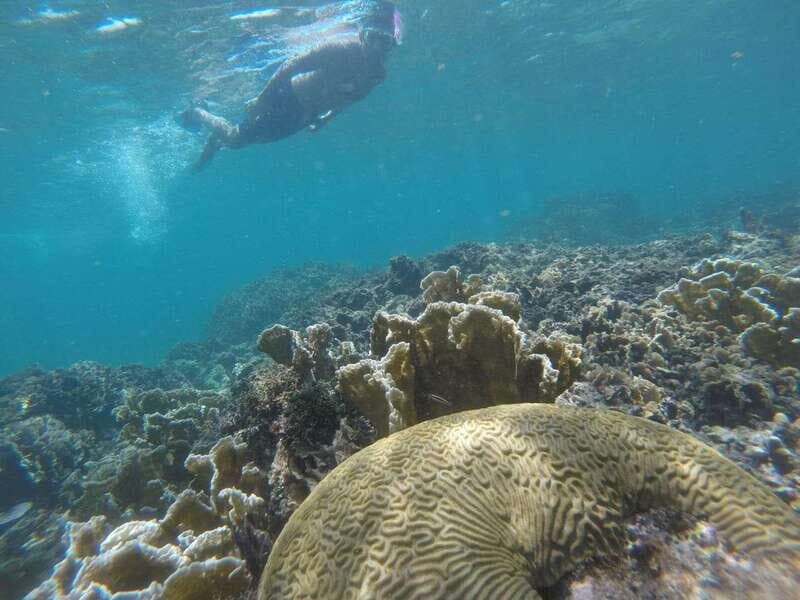 Tulum: Private Snorkel and Sailing Experience - The Practical Side: Price, Duration, and Logistics