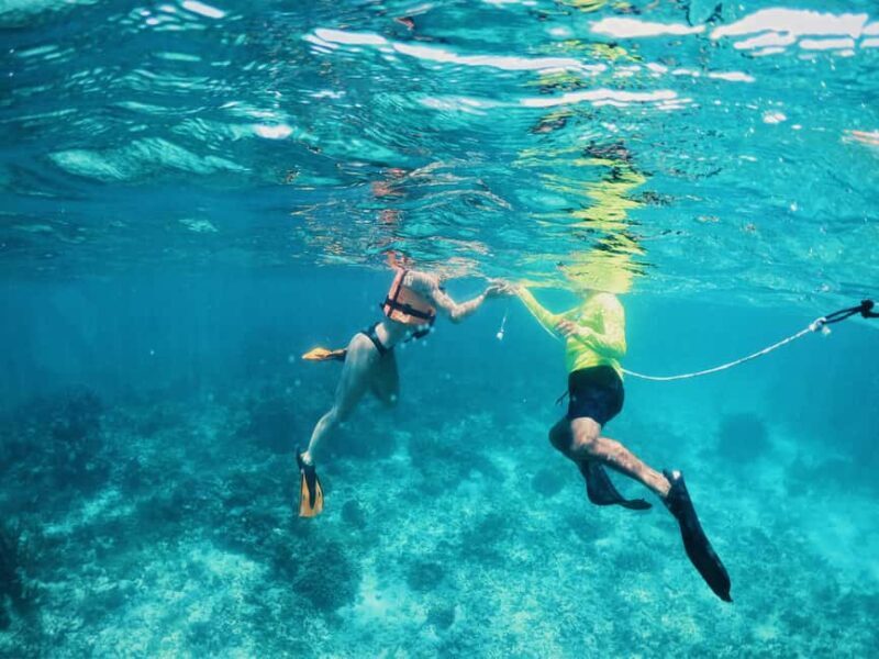 Tulum: Private Snorkel and Sailing Experience - Authentic Experiences and Customer Feedback