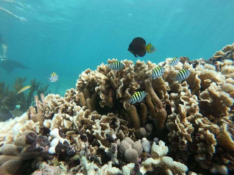 Tulum: Private Snorkel and Sailing Experience - Who Will Love This Tour?