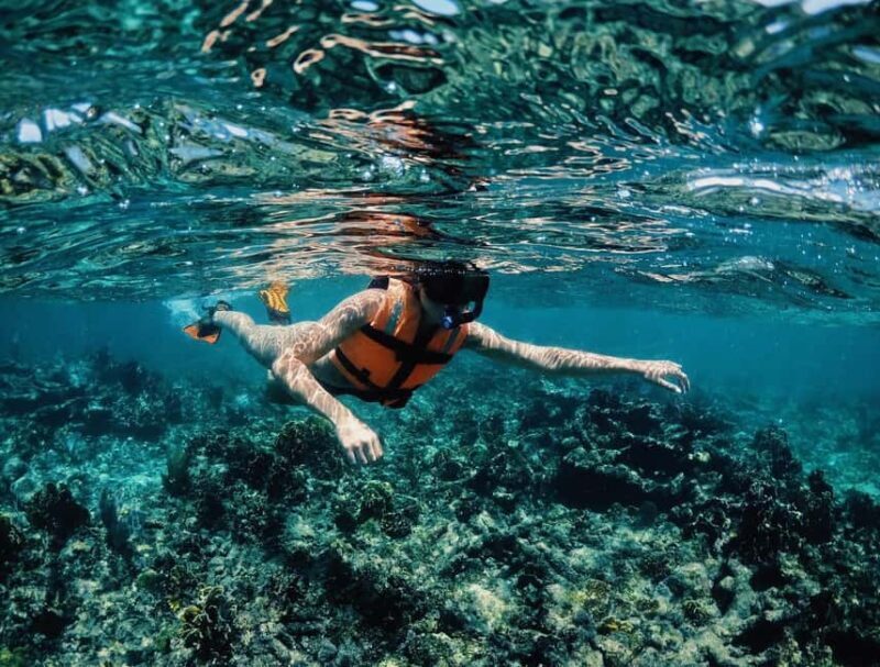 Tulum: Private Snorkel and Sailing Experience - Final Thoughts: Is This Experience Worth It?
