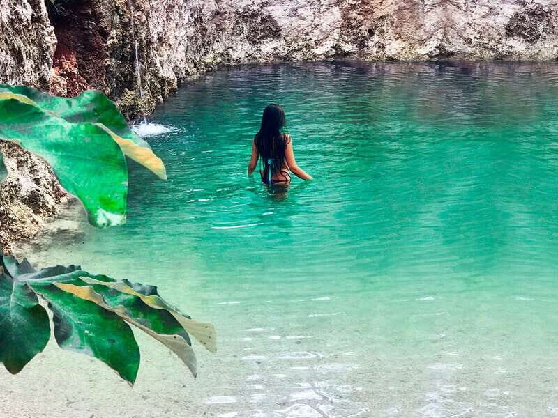 Tulum: Raw Honey & Chocolate Tour with Vegan Lunch & Cenote - The Sum Up