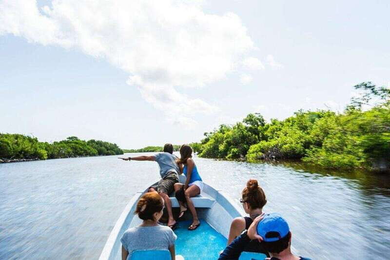 Tulum: Rio Lagartos Biosphere & Coloradas Pink Lake! Guided - Final Thoughts