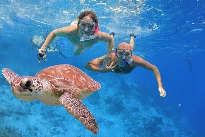 Tulum Ruins - Akumal & Cenote - A Deep Dive into the Tour Experience