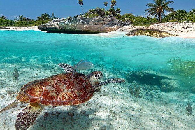 Tulum Ruins - Akumal & Cenote - Frequently Asked Questions