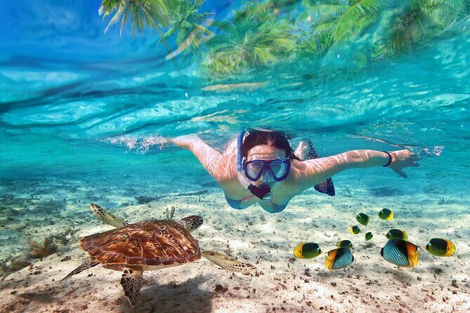 Tulum Ruins and Turtles Express - Key Points
