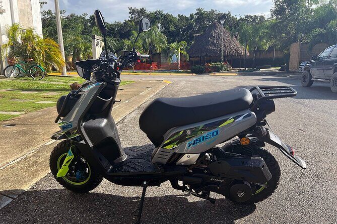 Tulum Ruins Scooter/ATV/E-Bike Tour, Snorkel/Swim/Paddle board Cenote + Lunch - Who Will Love This Tour?