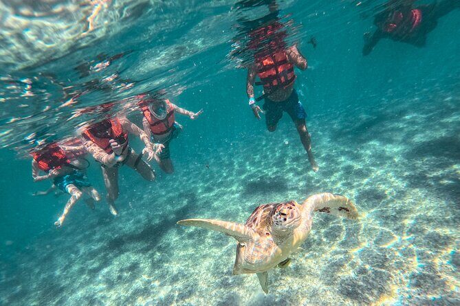 Tulum Ruins, Sea Turtles & Cenote Snorkeling Adventure Tour - A Practical Look at the Day