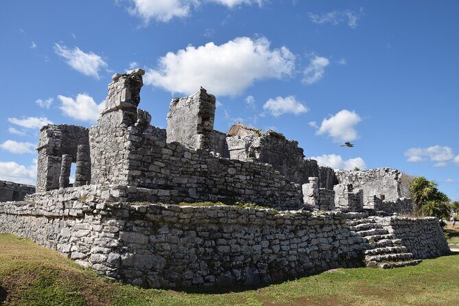 Tulum Ruins, Sea Turtles & Cenote Snorkeling Adventure Tour - Final Thoughts