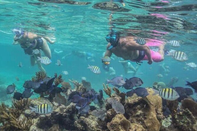Tulum Ruins Snorkel with Sea Turtle and Cenotes Private Tour - Cenotes: Mystical Water Jewels of the Yucatán