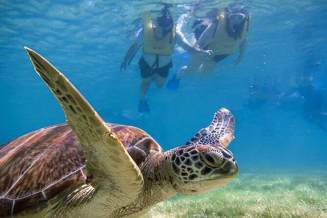 Tulum Ruins, Turtle Sighting and Underground Caves - Exploring Tulum Ruins