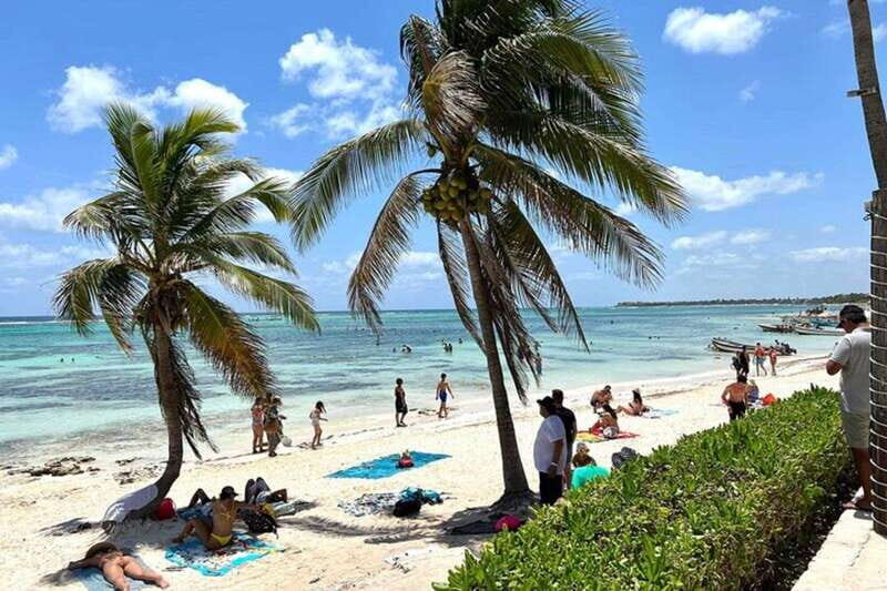 Tulum: Ruins, Turtles & Cenotes Adventure - Who This Tour Is Best For