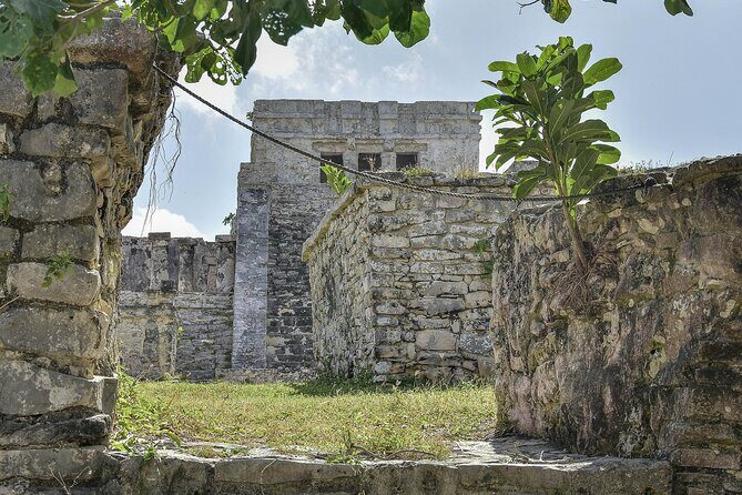 Tulum Ruins, Turtles in Akumal and Cenote tour - A Deep Dive into the Tour Experience