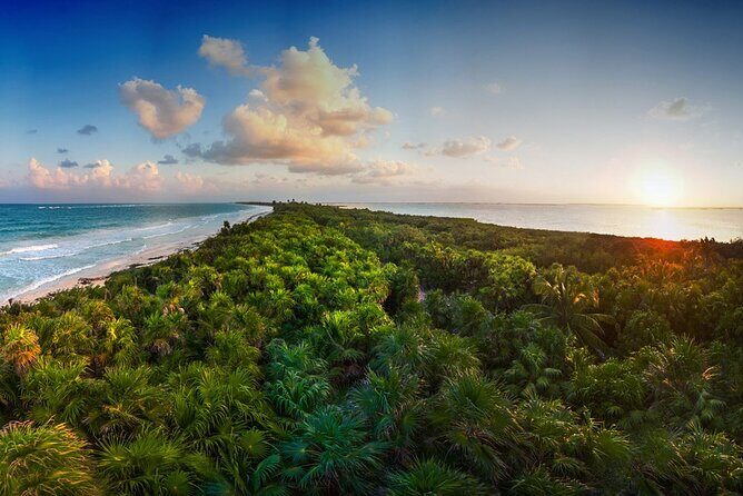 Tulum Sian Kaan Adventure : Dolphins, Turtles & Punta Allen - An In-Depth Look at the Tour Experience