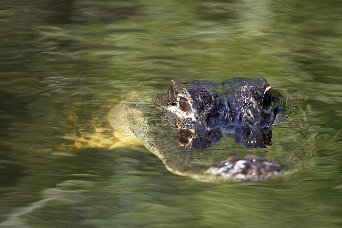 Tulum Sian Kaan Adventure : Dolphins, Turtles & Punta Allen - FAQs about the Sian Kaan Adventure