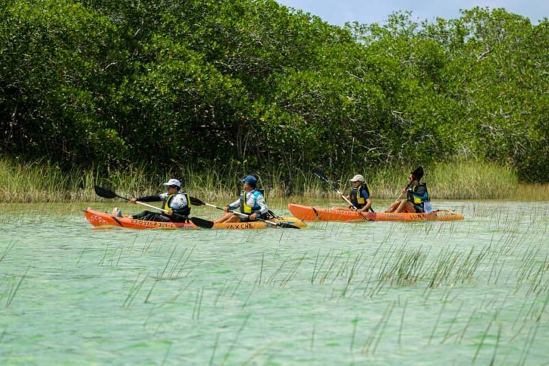 Tulum: Sian Ka'an Biosphere Reserve Kayak Tour - An In-Depth Look at the Tour Experience