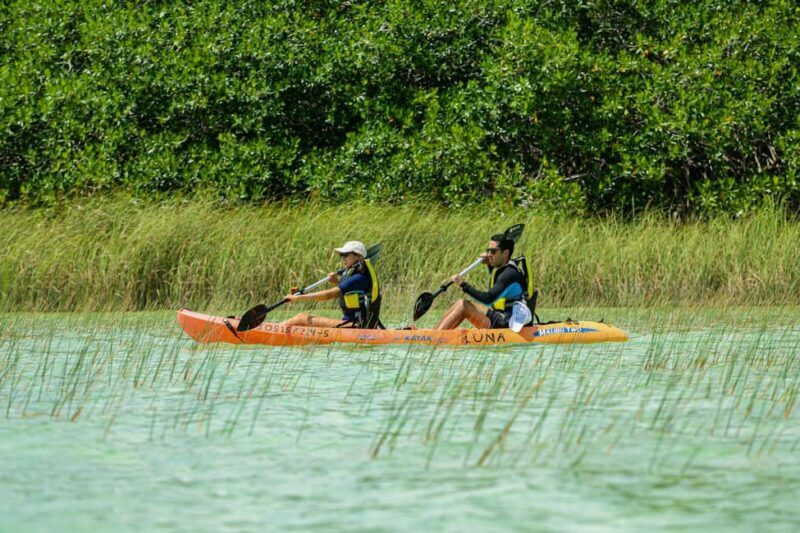 Tulum: Sian Ka'an Biosphere Reserve Kayak Tour - The Sum Up